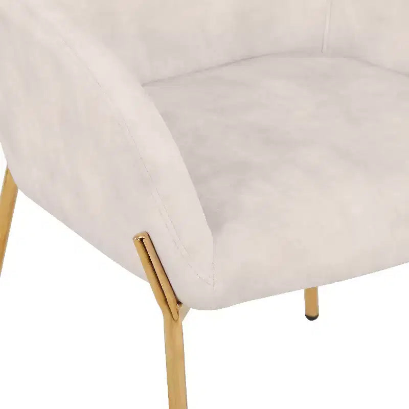 Modern Upholstered Dining Chair with Gold Iron Legs, Set of 2, Stylish Accent Chair for Dining Room or Kitchen