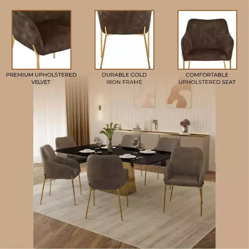 Modern Upholstered Dining Chair with Gold Iron Legs, Set of 2, Stylish Accent Chair for Dining Room or Kitchen