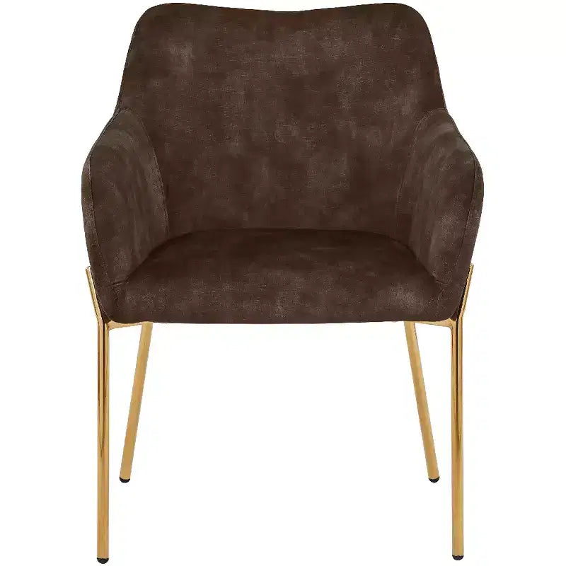 Modern Upholstered Dining Chair with Gold Iron Legs, Set of 2, Stylish Accent Chair for Dining Room or Kitchen