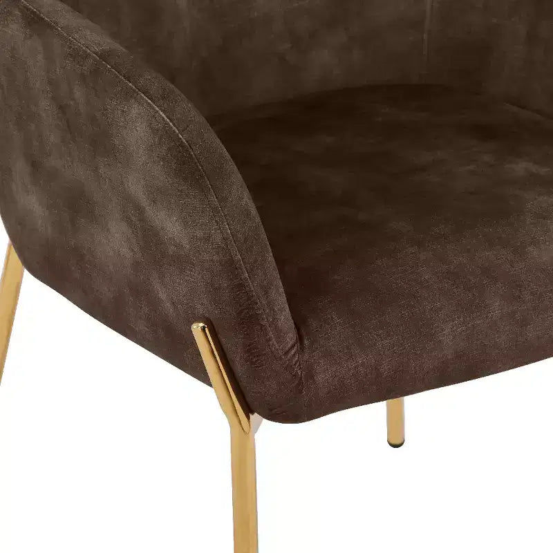 Modern Upholstered Dining Chair with Gold Iron Legs, Set of 2, Stylish Accent Chair for Dining Room or Kitchen
