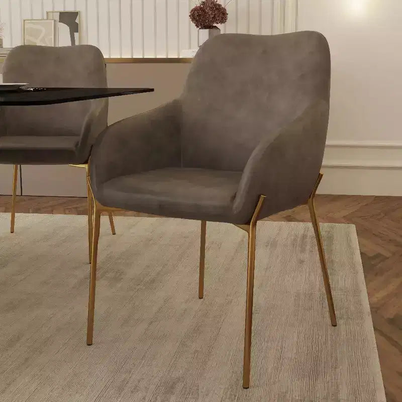 Modern Upholstered Dining Chair with Gold Iron Legs, Set of 2, Stylish Accent Chair for Dining Room or Kitchen