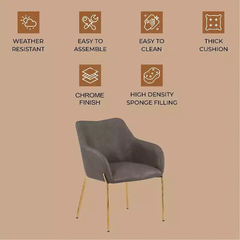 Modern Upholstered Dining Chair with Gold Iron Legs, Set of 2, Stylish Accent Chair for Dining Room or Kitchen