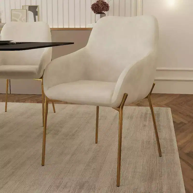 Modern Upholstered Dining Chair with Gold Iron Legs, Set of 2, Stylish Accent Chair for Dining Room or Kitchen