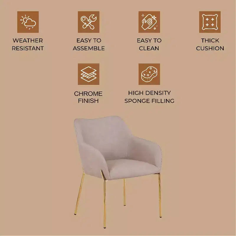 Modern Upholstered Dining Chair with Gold Iron Legs, Set of 2, Stylish Accent Chair for Dining Room or Kitchen