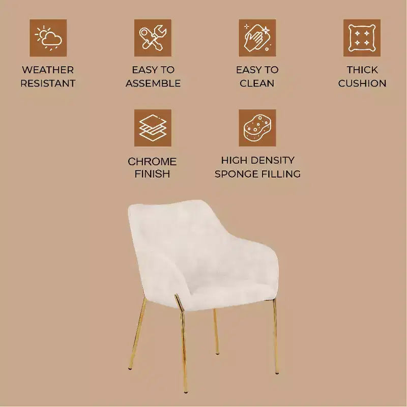 Modern Upholstered Dining Chair with Gold Iron Legs, Set of 2, Stylish Accent Chair for Dining Room or Kitchen