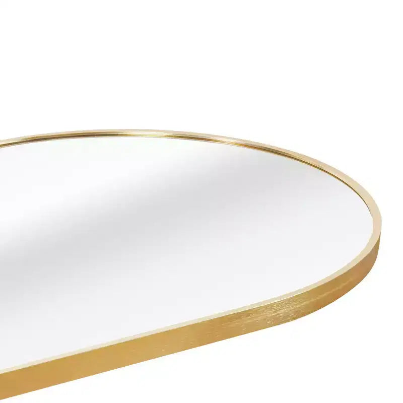 63x20 Inch Pill-Shaped Full-Length Mirror, Shatterproof Design